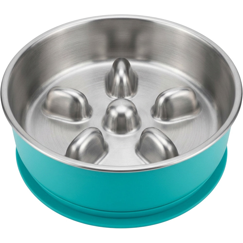 Dolfa Stainless Steel Slow Feeder Pet Bowl with Silicone Ring 32 oz Teal - Product view
